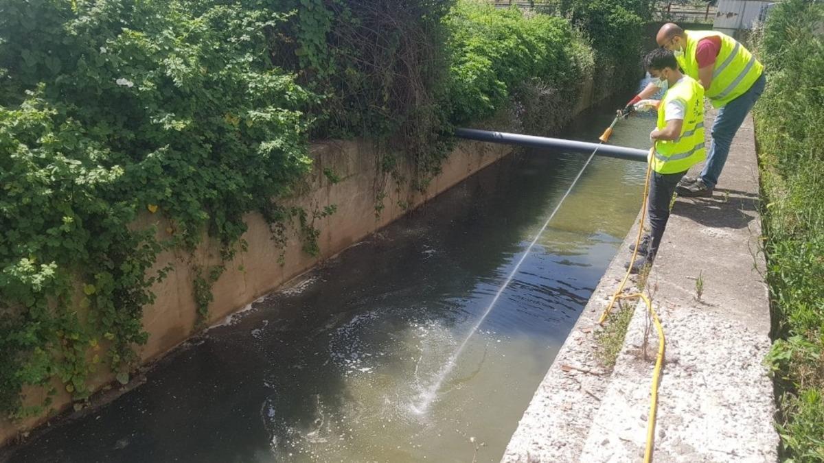 İzmit Belediyesi sivrisineklere karşı ila&ccedil;lamayı aksatmıyor