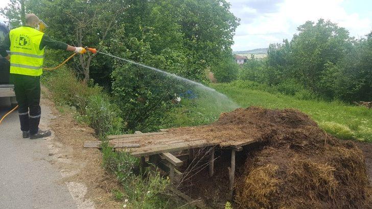 İzmit Belediyesi sivrisineklere karşı ilaçlamayı aksatmıyor G2