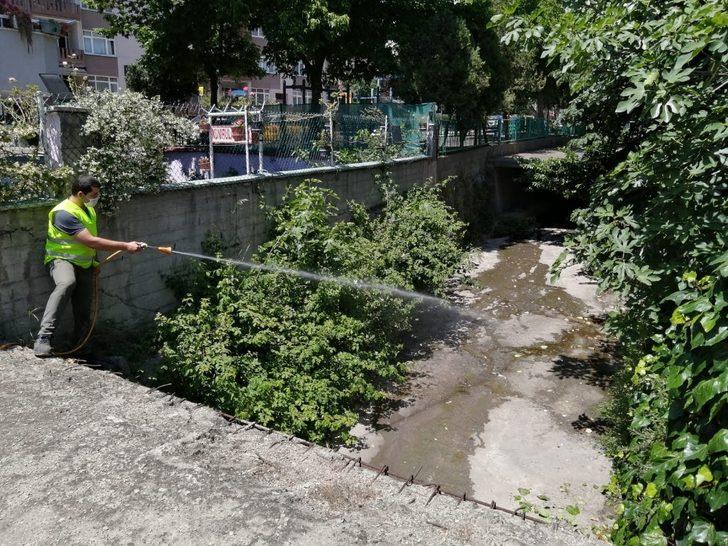 İzmit Belediyesi sivrisineklere karşı ilaçlamayı aksatmıyor G3