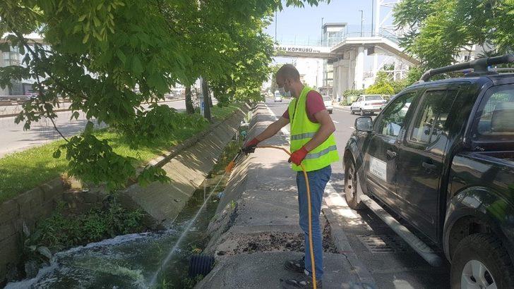 İzmit Belediyesi sivrisineklere karşı ilaçlamayı aksatmıyor G4
