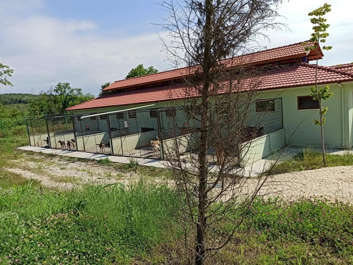 Ge&ccedil;ici hayvan bakımevi denetlendi