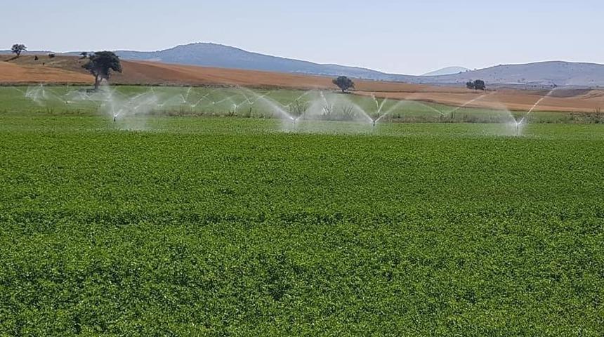 Aslanapa&rsquo;da yonca &uuml;retiminde bir ilk