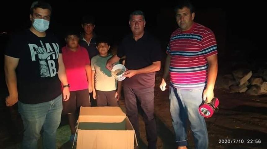 Fırtınadan yuvaları dağılan yavru  ser&ccedil;eler,  koruma altına alındı