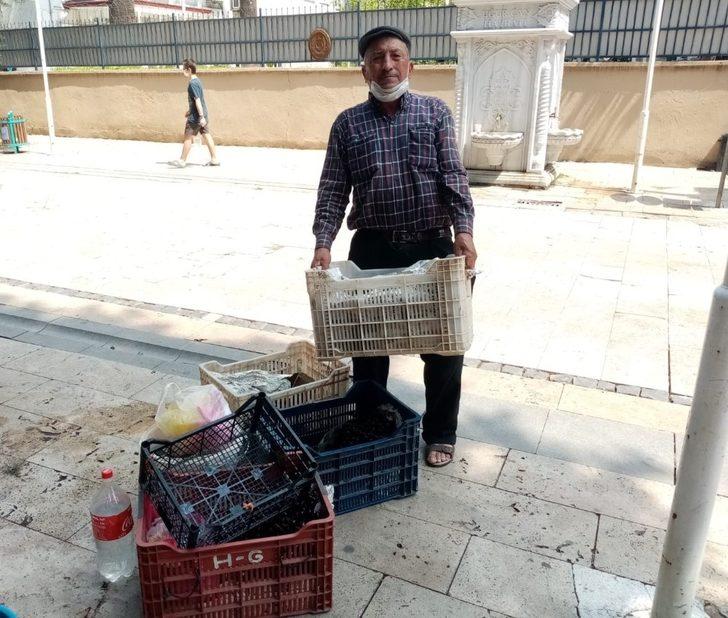 Korona virüs kiraz üreticisini de vurdu G1