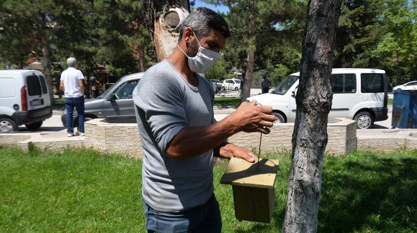 Kuş yuvaları Osmangazi Parkındaki yerini aldı