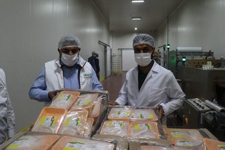 Malatya’da yeni fabrikalarla birlikte istihdam artacak G5