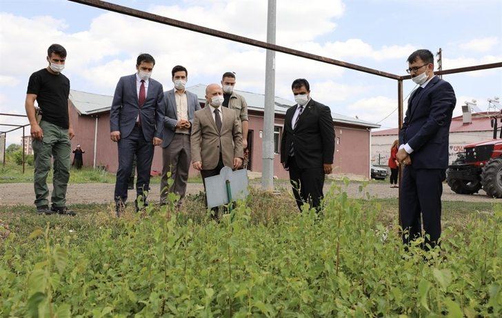 Vali Varol, Orman İşletme Müdürlüğünü ziyaret etti G3