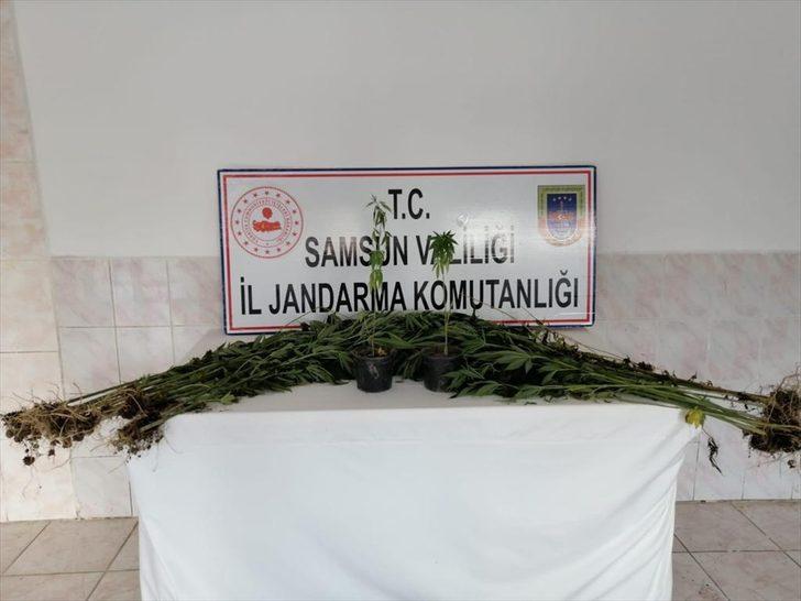 Samsun'da uyuşturucu operasyonlarında 10 şüpheli yakalandı G1