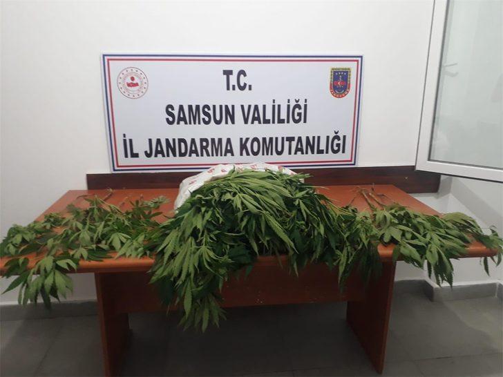 Samsun'da uyuşturucu operasyonlarında 10 şüpheli yakalandı G2