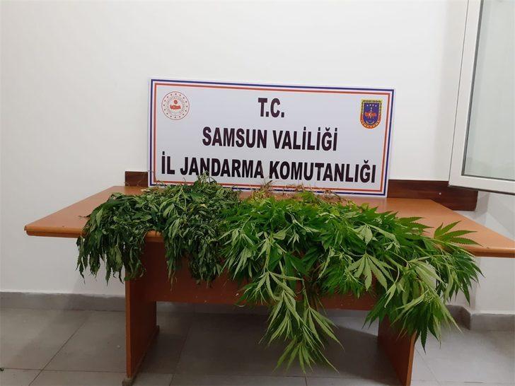 Samsun'da uyuşturucu operasyonlarında 10 şüpheli yakalandı G4