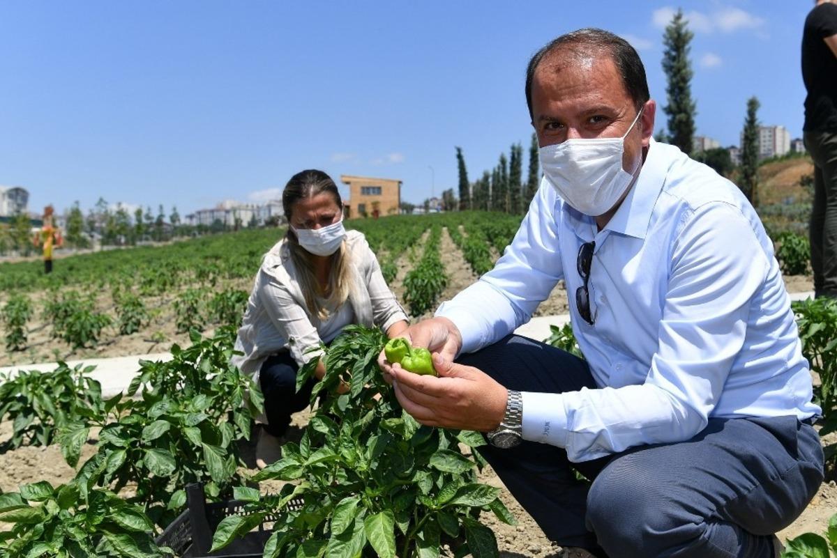 Yaşam Bah&ccedil;esi ile ihtiya&ccedil; sahiplerinin y&uuml;z&uuml; g&uuml;l&uuml;yor