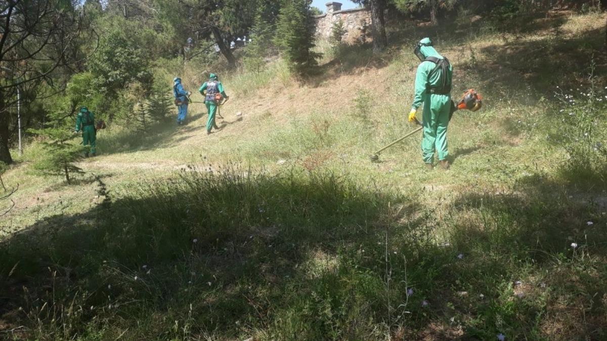 Derince ve K&ouml;rfez&rsquo;deki yeşil alanlar tertemiz