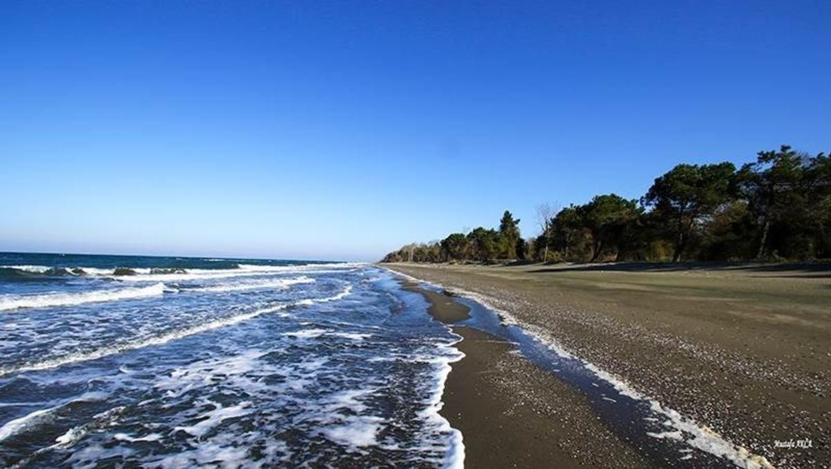 Tabiat parklarına ziyaretler azaldı