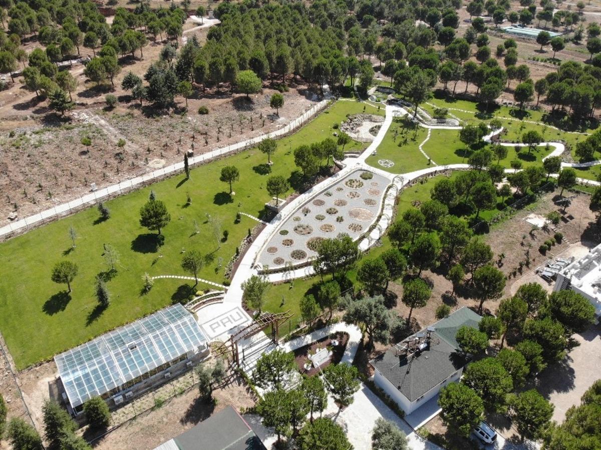 850 t&uuml;r&uuml; barındıran PA&Uuml; Botanik Bah&ccedil;esi g&ouml;z kamaştırıyor