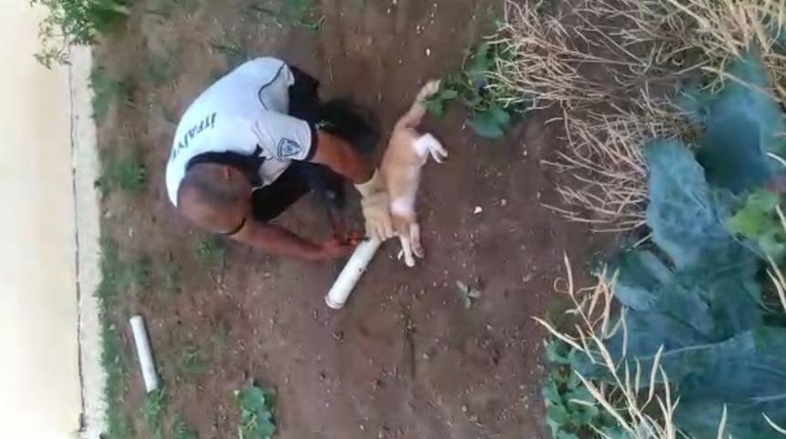 Su borusuna kafası sıkışan kedinin imdadına itfaiye yetişti