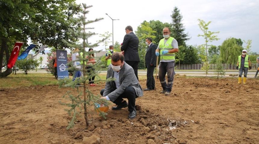 Hacıemiroğulları Beyliği Parkı’na fidan dikimi