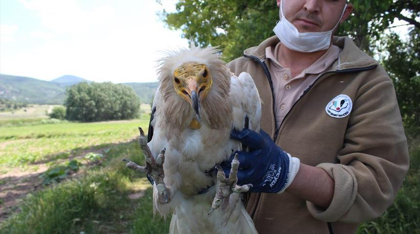Bulgaristan'dan Eskişehir Hayvanat Bah&ccedil;esi &ccedil;alışanlarına teşekk&uuml;r mektubu