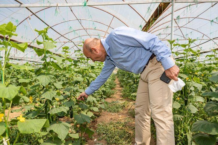 İzmir Büyükşehir Belediyesi, 200 tonluk salatalık alım sözleşmesi imzaladı G2