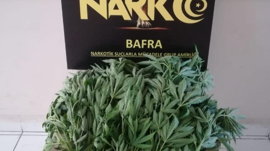 23 k&ouml;k Hint keneviri ile yakalanan şahıs serbest kaldı