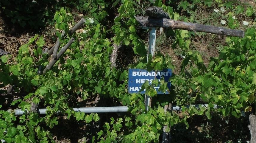 Bu bahçedeki sebze ve meyveler 23 yıldır ücretsiz