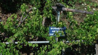 Bu bahçedeki sebze ve meyveler 23 yıldır ücretsiz