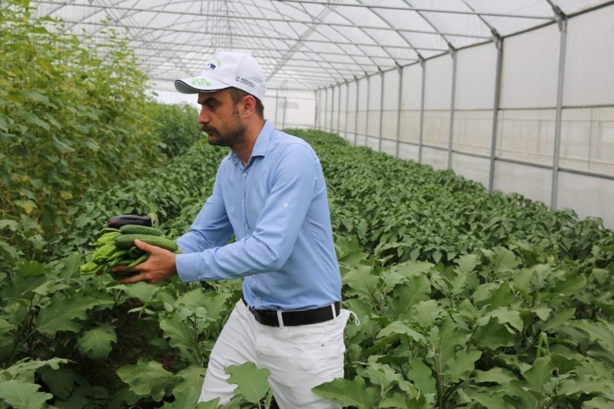 Y&uuml;zde 50 hibeli seralarda y&uuml;zler g&uuml;l&uuml;yor