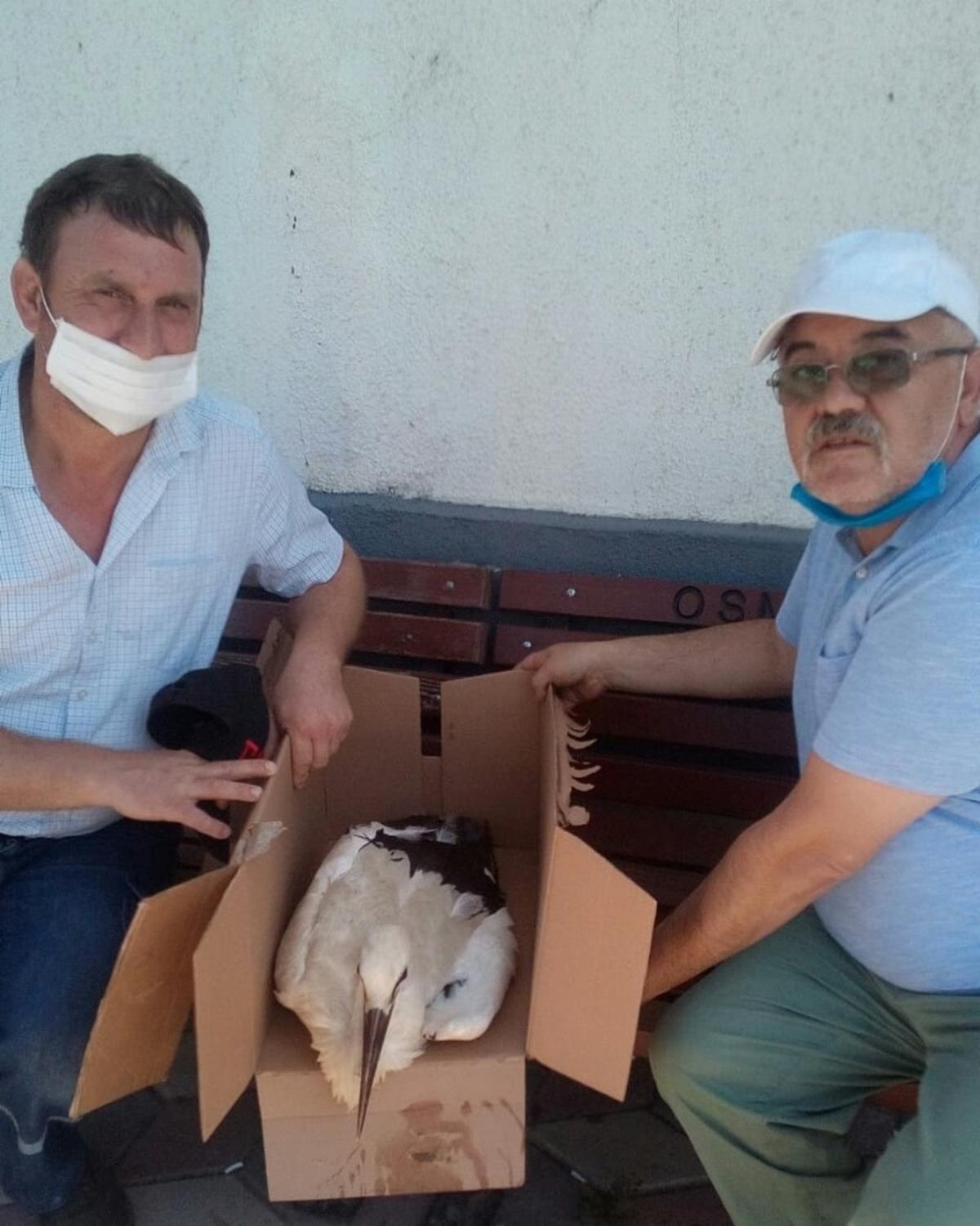 Bilecik&rsquo;te yaralı leyleğe &ouml;ğretmen sahip &ccedil;ıktı