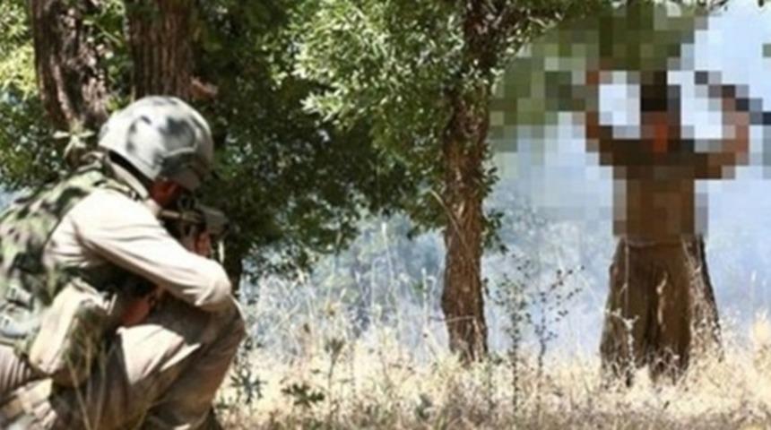 Karadeniz Bölgesi'ne sızma girişiminde bulunan 2 terörist teslim oldu