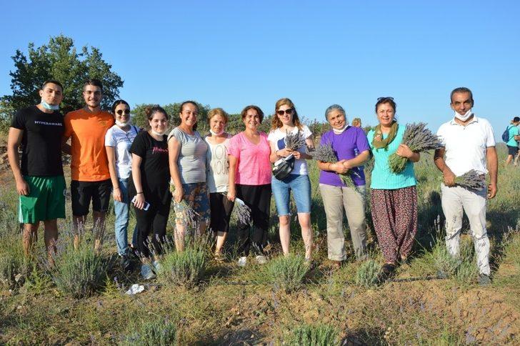 Yuntdağı’nda ilk lavanta hasadı Obasya’dan G3