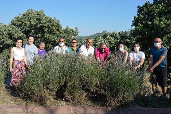 Yuntdağı’nda ilk lavanta hasadı Obasya’dan G5