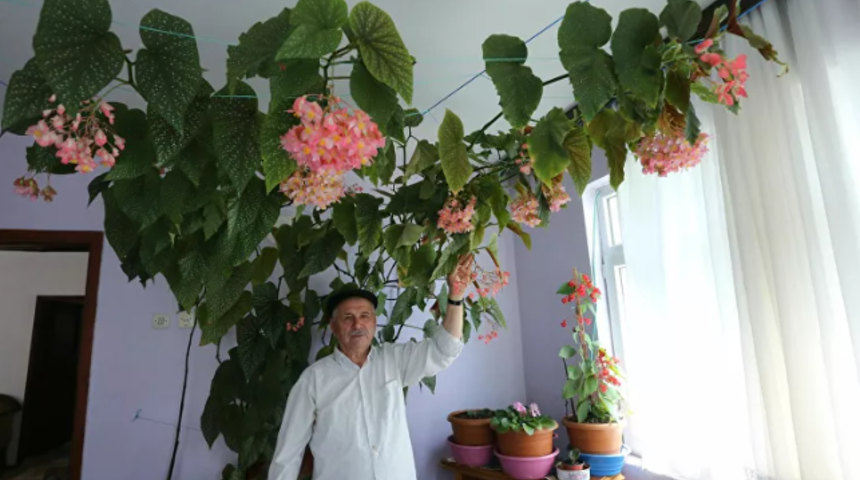 Eşinin hatırasını yaşatmak i&ccedil;in baktığı &ccedil;i&ccedil;ek odayı kapladı: &lsquo;Sevgimi bu şekilde s&uuml;rd&uuml;r&uuml;yorum&rsquo;