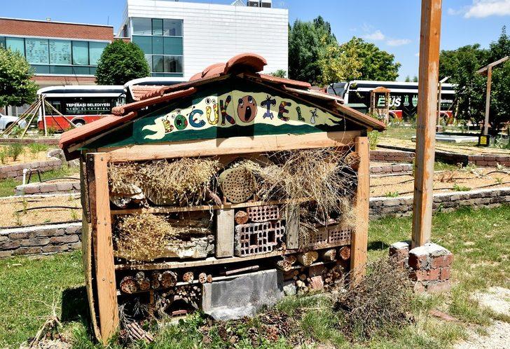 Yeryüzü Ekoloji Okulu yeni döneme hazırlanıyor G1