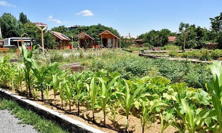 Yeryüzü Ekoloji Okulu yeni döneme hazırlanıyor G3