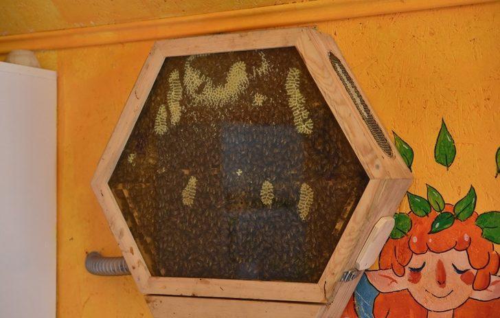 Yeryüzü Ekoloji Okulu yeni döneme hazırlanıyor G4