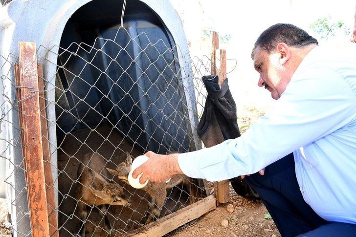 Gürkan’dan yaban hayatı gözlem merkezine ziyaret G1