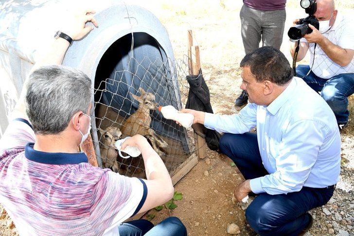 Gürkan’dan yaban hayatı gözlem merkezine ziyaret G4