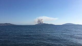 Son dakika: İstanbul Heybeliada'da orman yangını