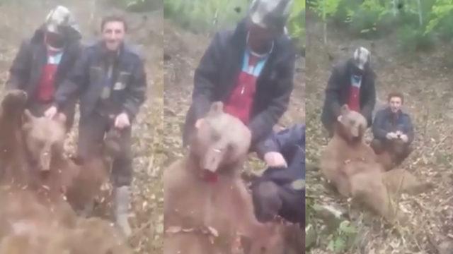 Vurdukları ayıyı yumrukladılar! Tepki çeken görüntüler