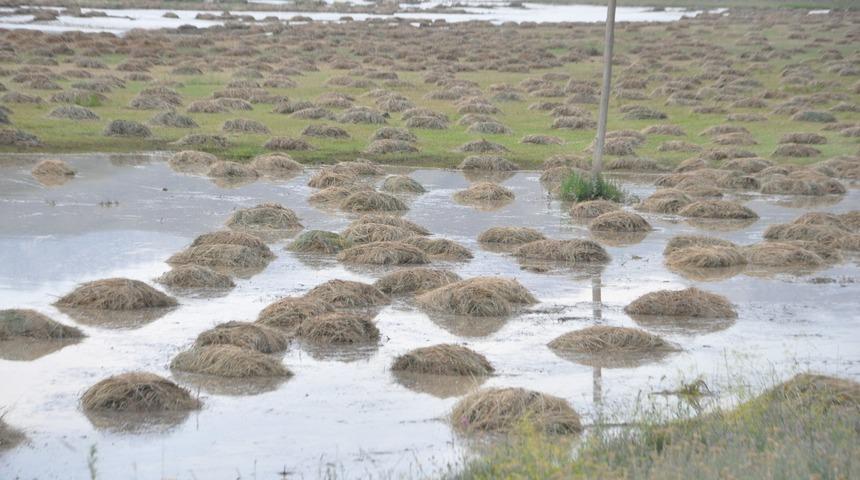 Yüksekova'da sel felaketi: 10 bin bağ ot ve bahçeler zarar gördü