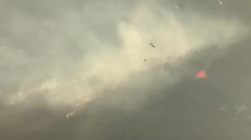 Son dakika: Heybeliada'daki orman yangını ile ilgili 3 şüpheli gözaltına alındı