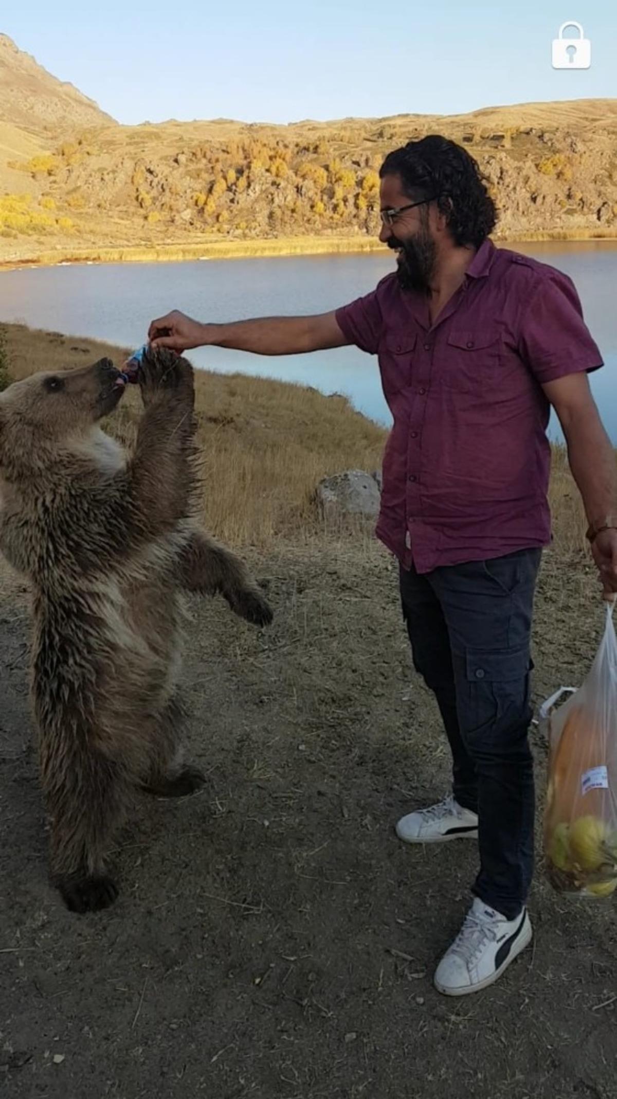 Nemrut&rsquo;un maskotu kardeş ayılardan biri kayıp