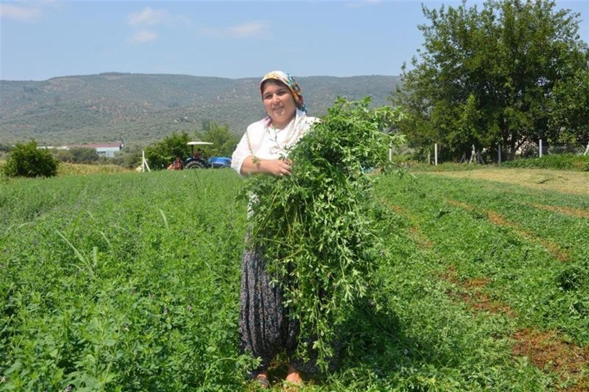Hibe desteği ile aile b&uuml;t&ccedil;esine katkı sunmaya başladı
