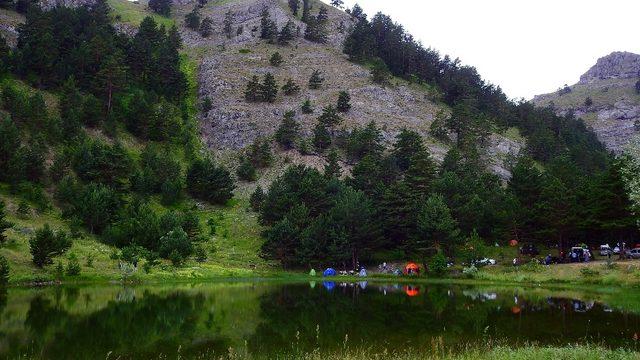 Şehrin stresinden uzaklaştılar