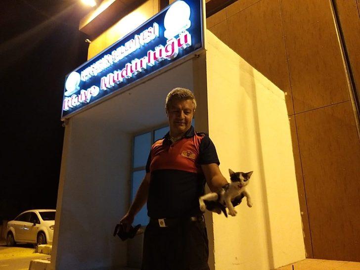 Otomobilin çamurluğuna sıkışan kedi, araç sürücüsünün dikkati sayesinde kurtarıldı G1