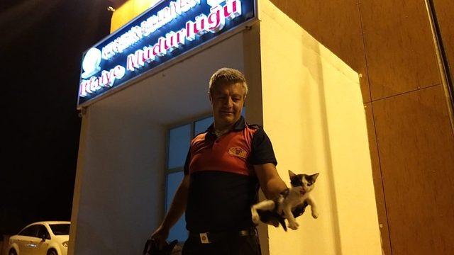 Otomobilin çamurluğuna sıkışan kedi, araç sürücüsünün dikkati sayesinde kurtarıldı