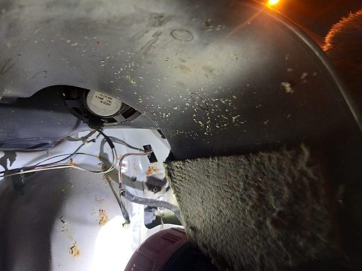 Otomobilin çamurluğuna sıkışan kedi, araç sürücüsünün dikkati sayesinde kurtarıldı G2