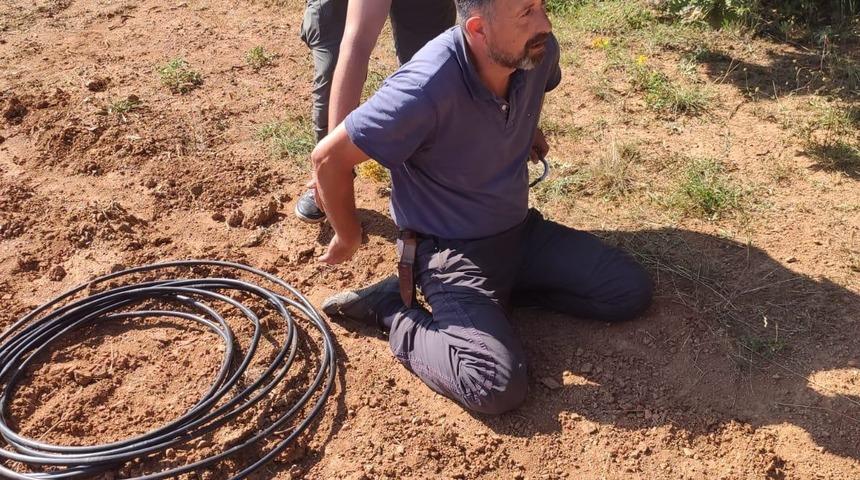 Tarlasında Hint kenevirlerini sularken yakalandı