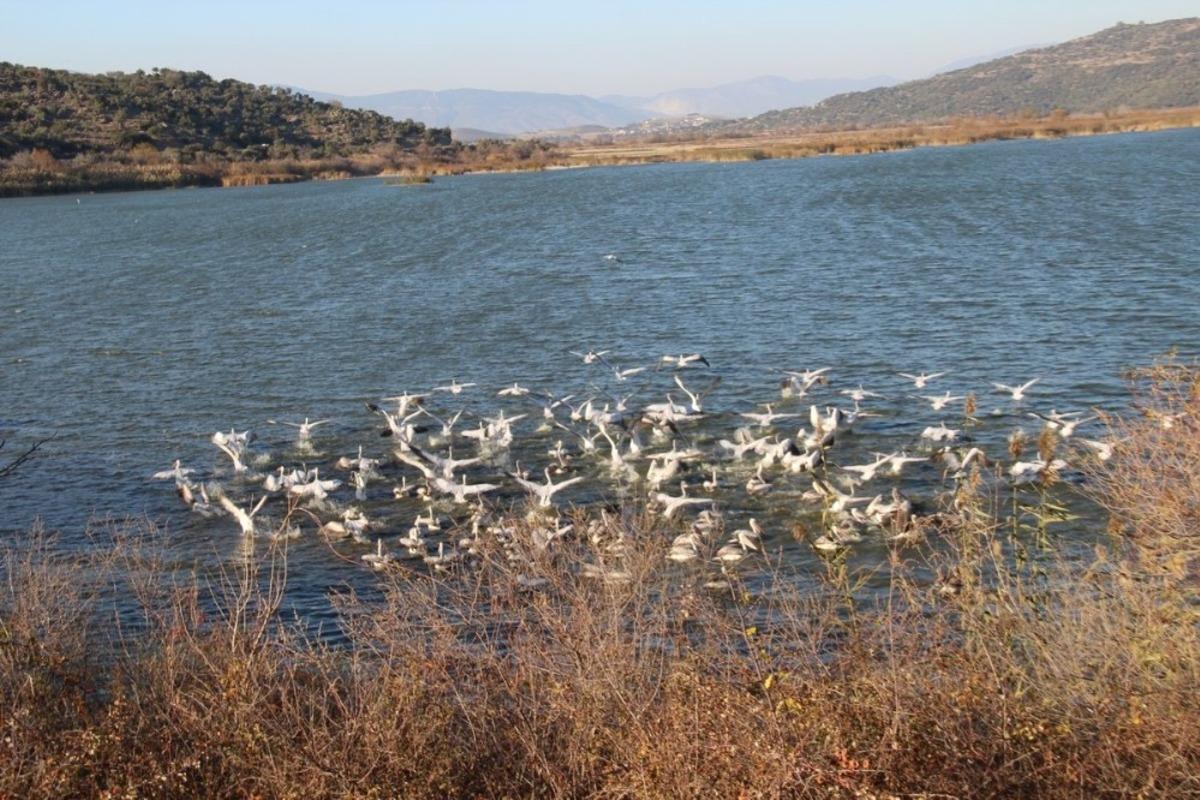 Azap G&ouml;l&uuml;&rsquo;nde ekoturizm faaliyetleri yaygınlaşacak
