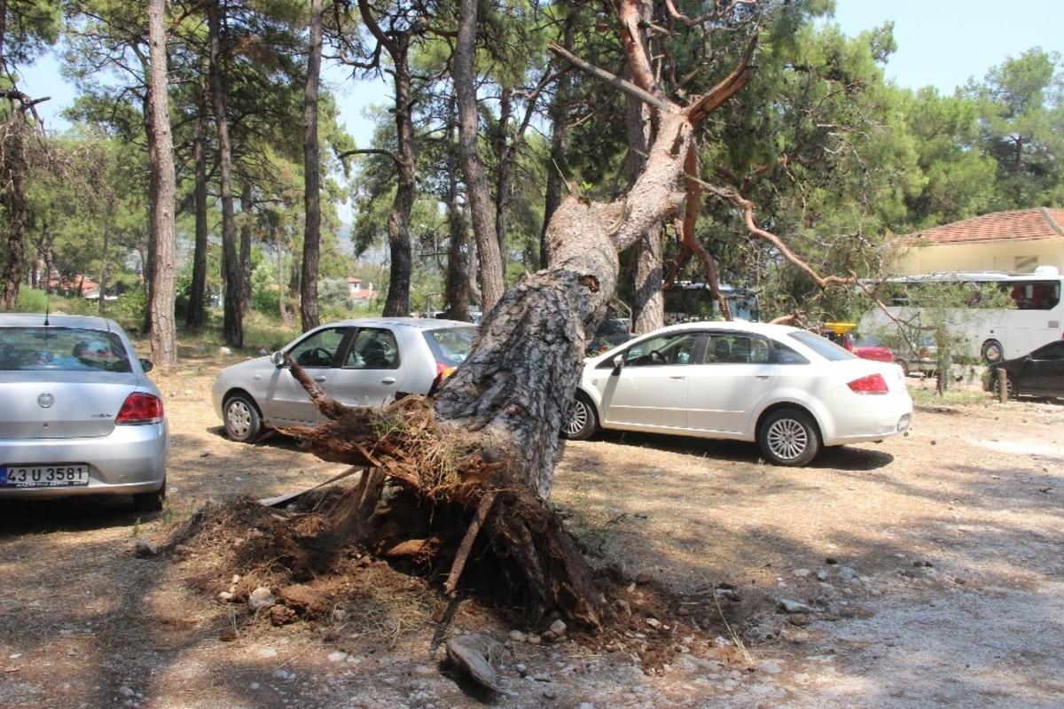 Tatil beldesinde faciaya ramak kala
