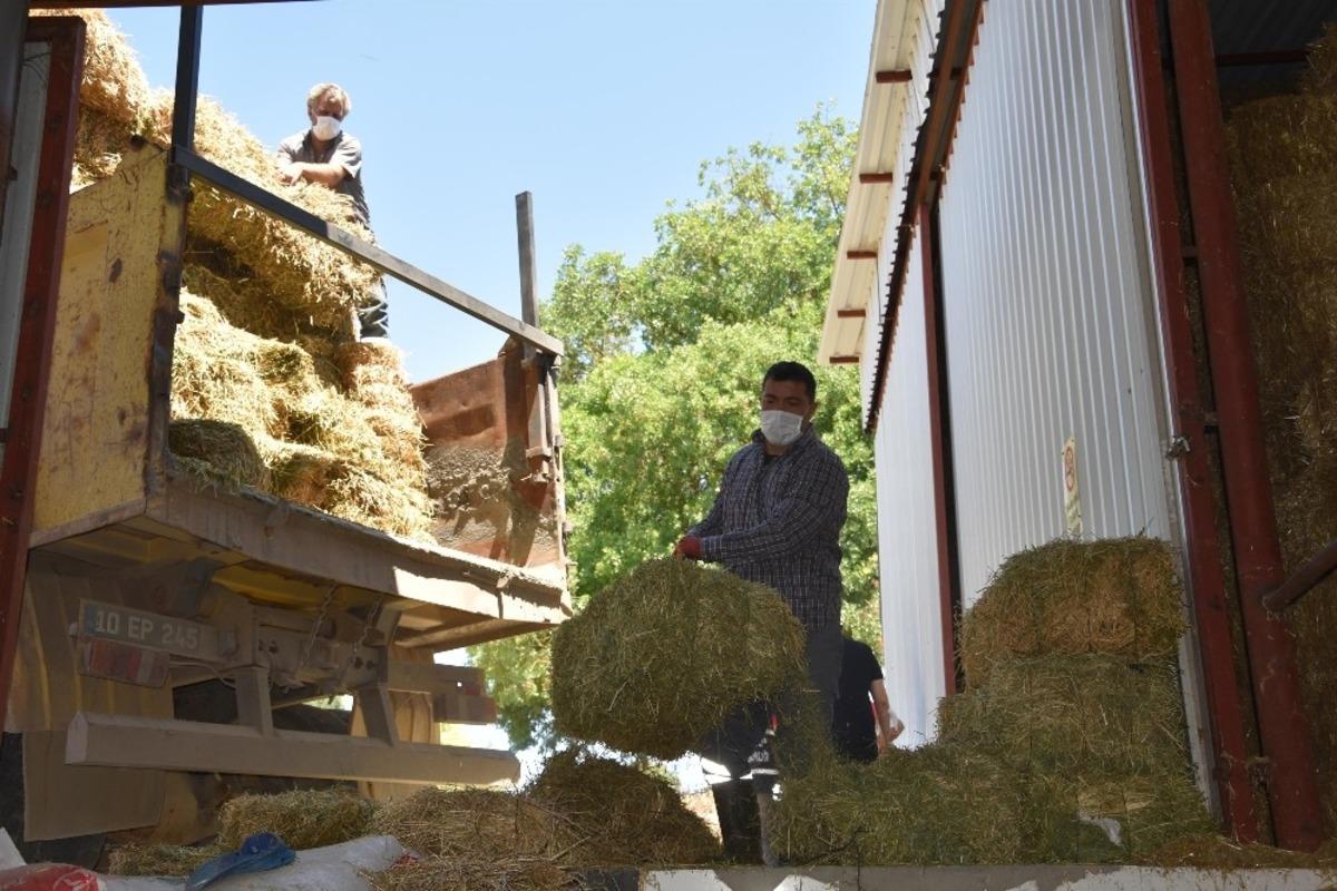 Balıkesir B&uuml;y&uuml;kşehir&rsquo;den &uuml;reticilere yem desteği